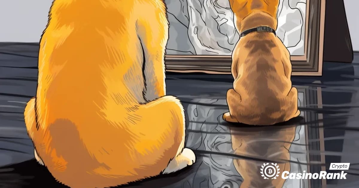 Current Situation of Shiba Inu and Floki Holders: Majority Experiencing Losses