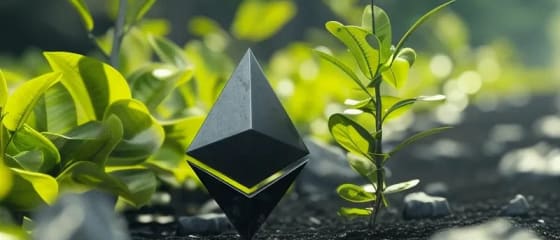 Ethereum's Price Surge and Potential Challenges: A Closer Look