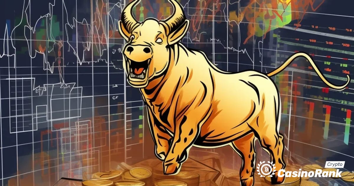 The Future of Crypto: Diversification and Emerging Narratives in the Next Bull Run