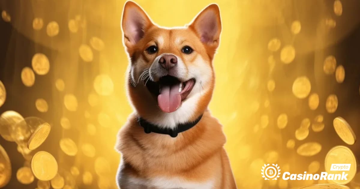 Shiba Inu Price Rebound and Recovery Potential: Insights and Comparison with Other Meme Coins